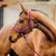 Horseware Amigo halsterset